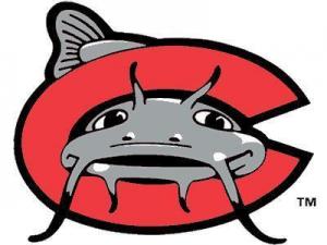 mudcats_logo.jpg
